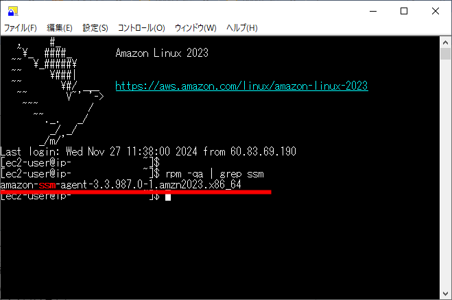 TeraTermでのコマンド実行イメージ