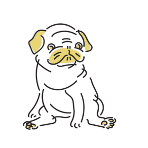 kawawa